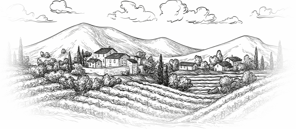 Décors vigne domaine marie de louvoy